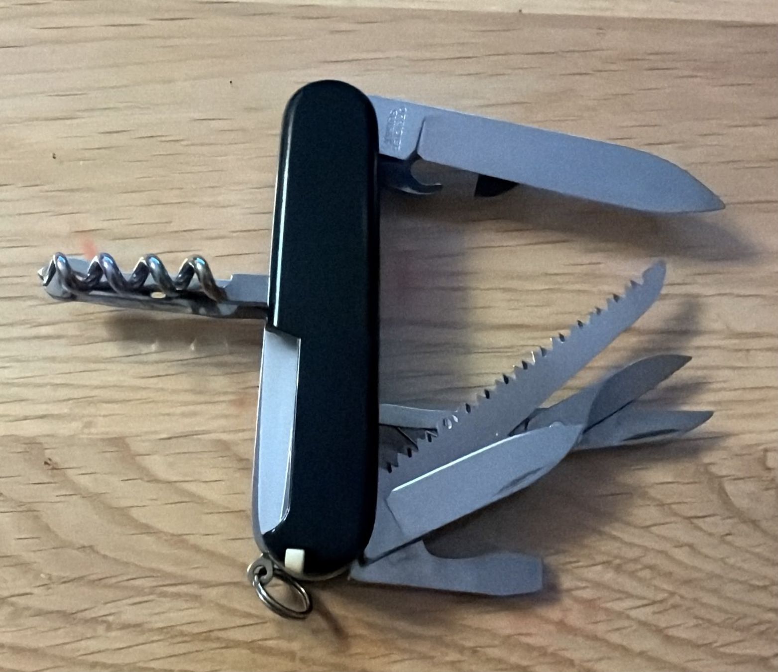 Victorinox Coltelli tascabile: VICTORINOX SACKMESSER THORBERG – Nuovo (secondo la descrizione) da Zürich venduto da Frei-Occasionen 1