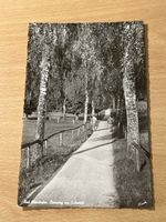 Alte Ansichtskarte Bad Wörishofen - Elsterweg, Rarität!