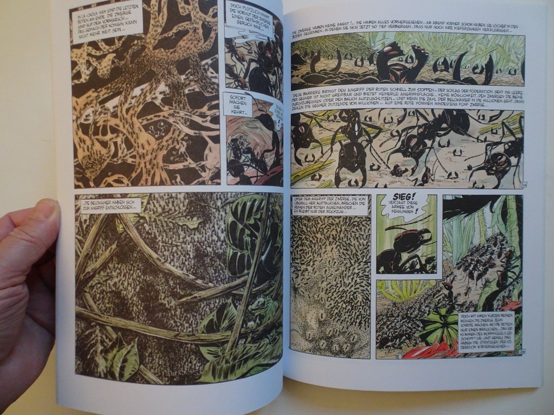 Comics: Bernard Werber: Ameisen - – Gebraucht aus Schönenwerd von schnitzunddrunter 3