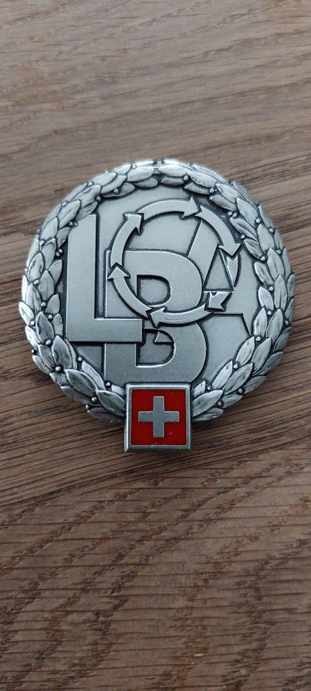 Schweizer Armee Placchette & Badge: Beretemblem Logistikbasis – Usato da Sargans venduto da blauberg