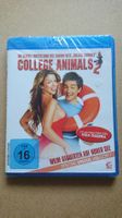 College Animals 2 Blu-ray NEU