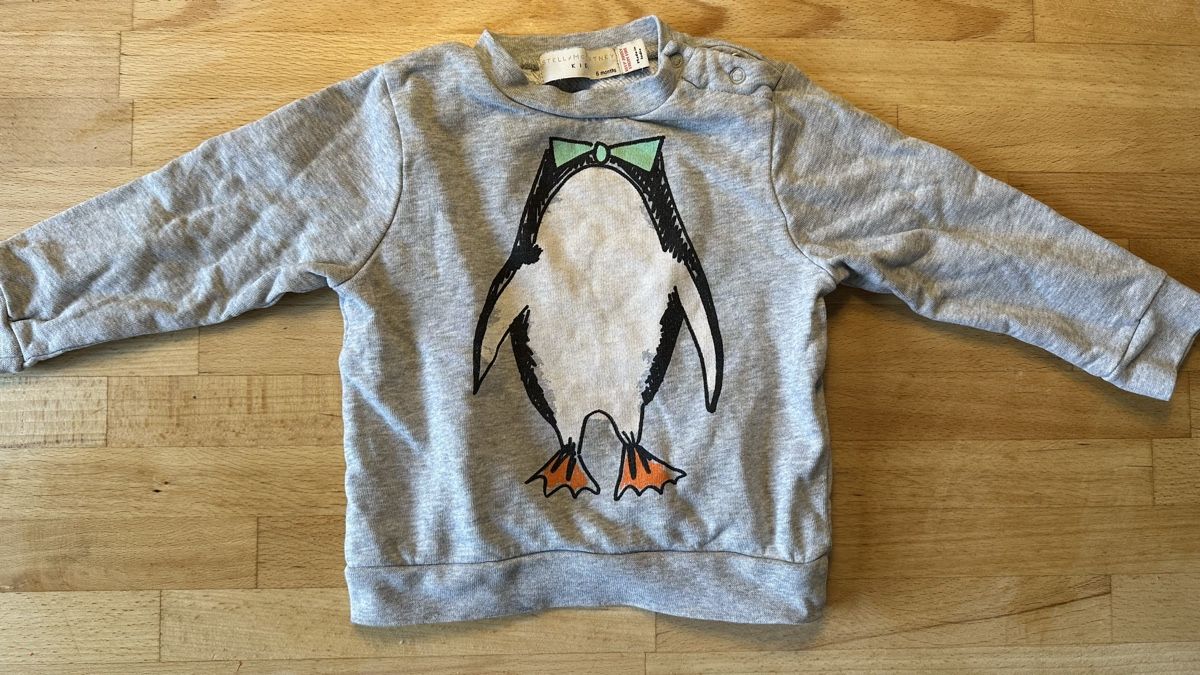 Pullover & Sweatshirts: Stella McCartney | Sweatshirt | Grösse 6 Monate – Gebraucht aus ZÜRICH von Schnauk
