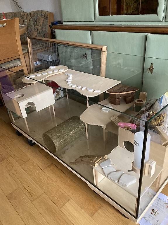 Gabbie, trasporto & Sicurezza: Hamsterkäfig mit div. Zubehör – Usato da Niederscherli venduto da Marom88 3