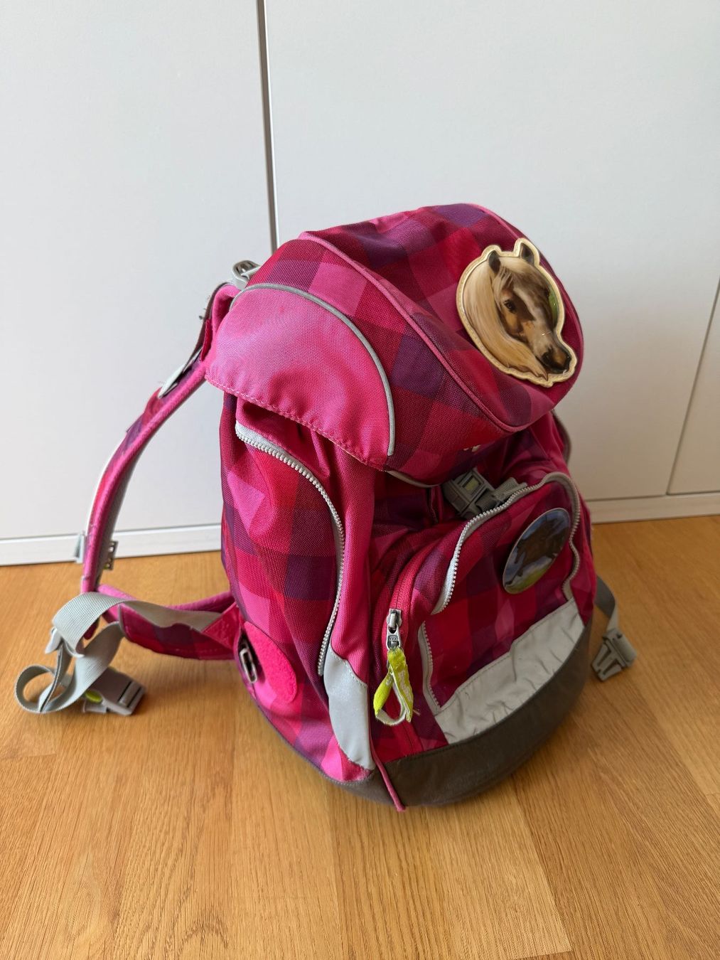 Ergobag Sacs & sacs à dos: Ergobag mit Sorttasche, Etuis und Regenhülle – D'occasion à Malans GR par Eitschi 1