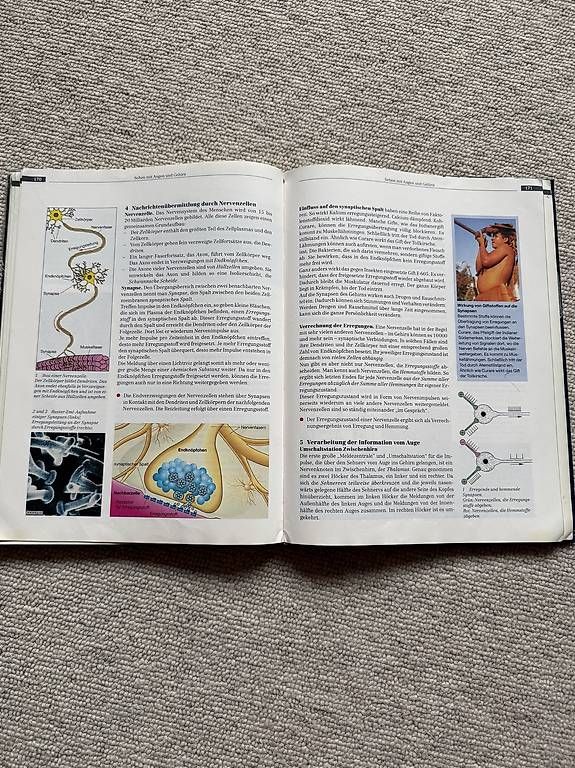 Bücher: Humanbiologie – Gebraucht aus Davos Glaris von noa_59j8 1