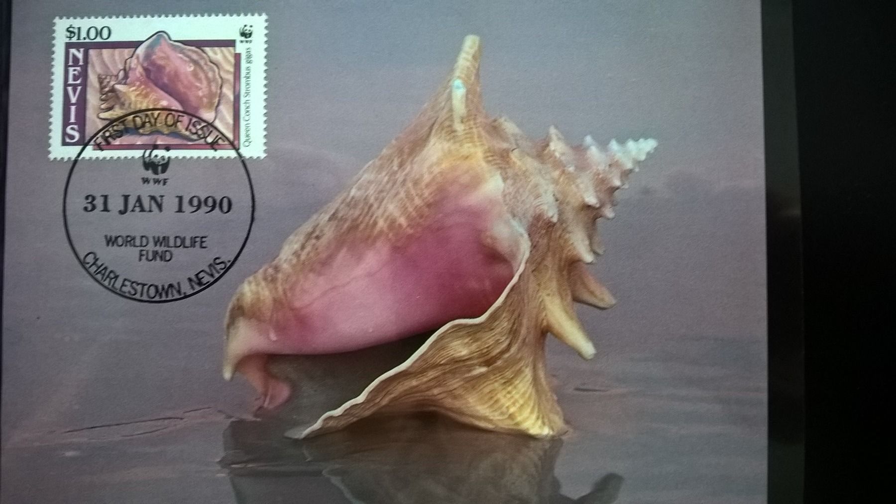 Tutti i francobolli: Nevis 1990 Satz Maximumkarten WWF Fechterschnecke – Nuovo (secondo la descrizione) da Liestal venduto da schnueps 3