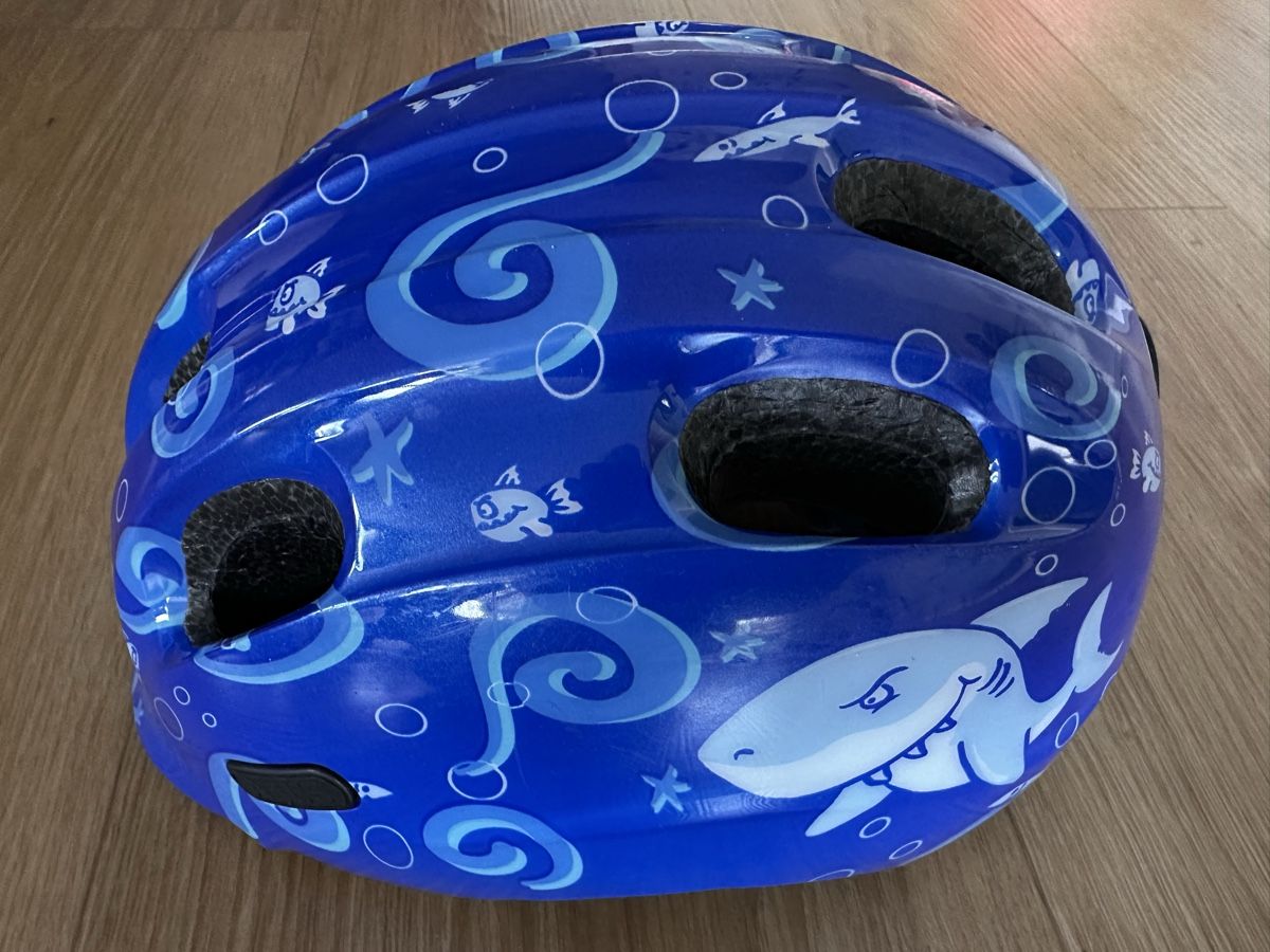 Abus Caschi: ABUS Fahrradhelm 50-55cm – Usato da Buchrain venduto da eule2109 1