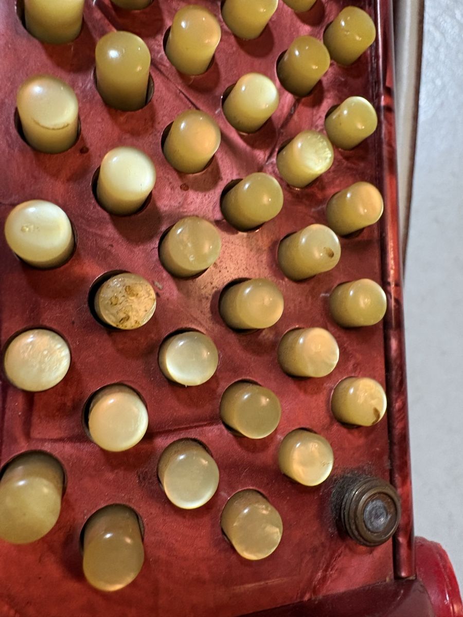 Eichhorn Strumenti musicali: Akkordeon Eichhorn Schwyz – Usato da Boll venduto da Fluero 2