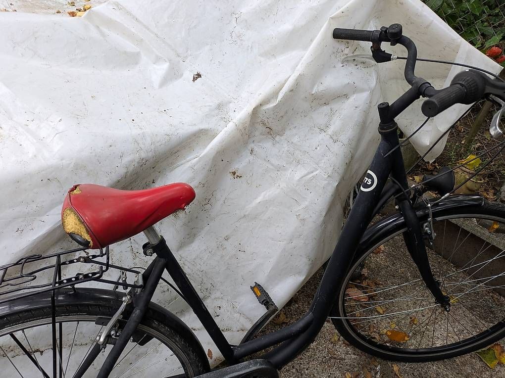 Tutti i DVDs: Damen Fahrrad 28" – Usato da Binningen venduto da Smile-46 3