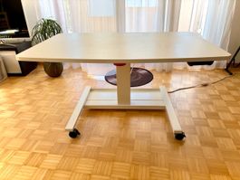 Sitz-/Stehtisch 120x76, Rollen, höhenverstellbar, Homeoffice