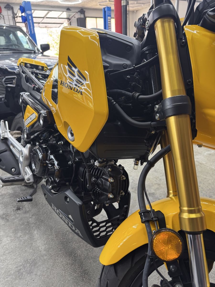 Honda Strada: Honda  MSX 125 – Nuovo (secondo la descrizione) da Münsingen venduto da FerrariF355 2
