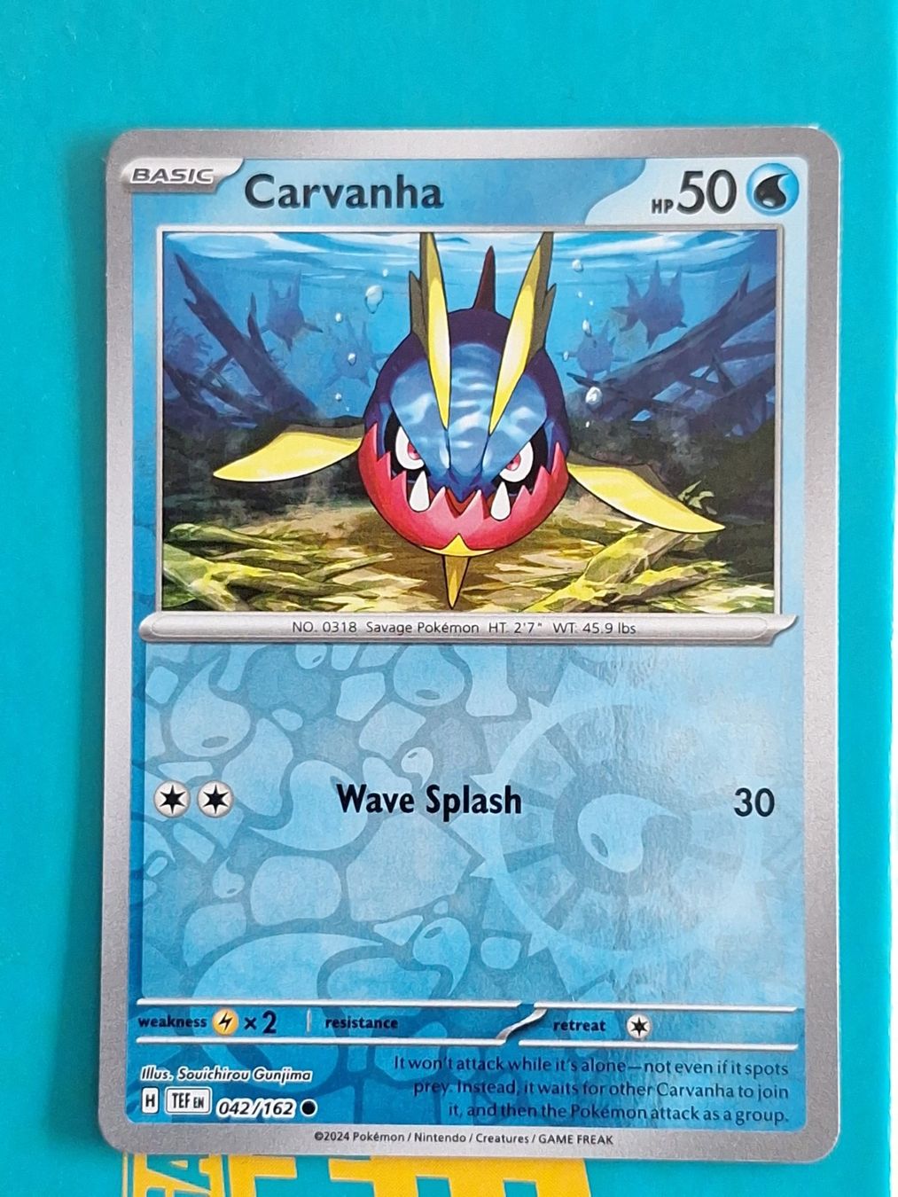 Pokémon Carte collezionabili: Carvanha - Pokemon Temporal Forces Reverse Holo - #2.6 – Usato da Altstätten SG venduto da GGsGameshop
