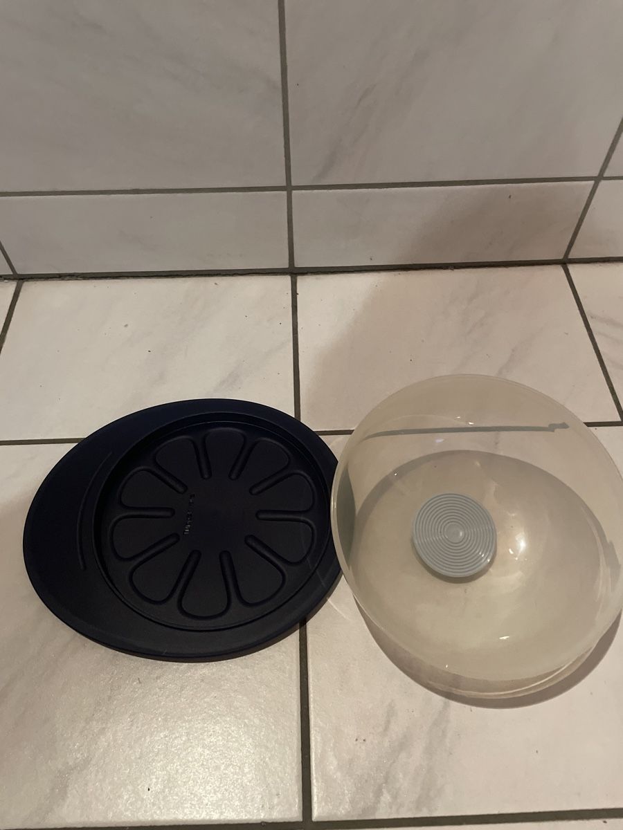 Tupperware Piatti di portata: Käse/Tortenplatte mit Haube – Usato da Kaiseraugst venduto da KlausSina 1