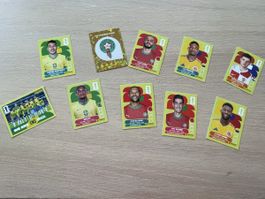 Stickers panini 