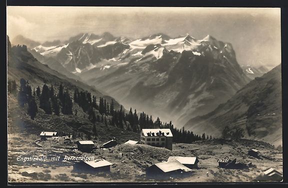 Cartoline postali: Engstlenalp, Ortspartie mit Berneralpen – Usato da Berlin venduto da bartko-reher