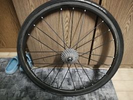 Fulcrum racing zero carbon hinten rad