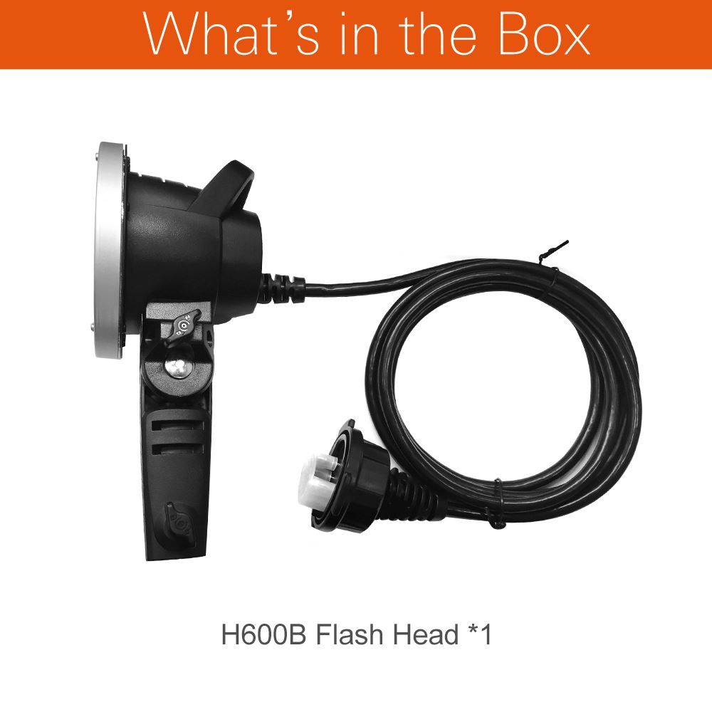 Godox Flash: Godox AD-H600B 600W Verlängerung Kopf – Nuovo e nell'imballaggio originale da Malans GR venduto da BUYBEST-Schweiz 1