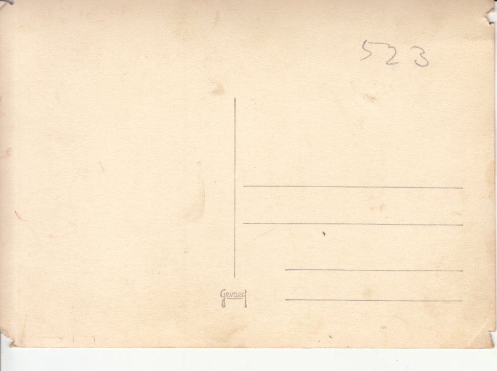 Cartoline postali: Fotokarte unbekannt ca. 1940 – Usato da Bürglen TG venduto da StampGraf 1