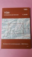 Landeskarte 1:25000 – 1193 Tödi Ausgabe 1990