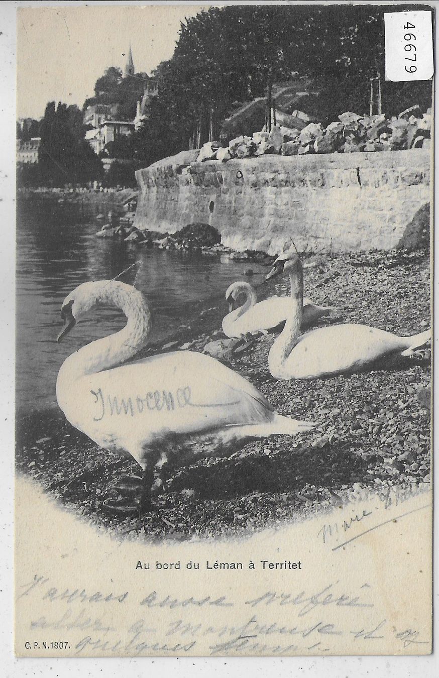 Cartoline postali: Au bord du Leman a Territet – Usato da Ettingen venduto da Kartenplanet
