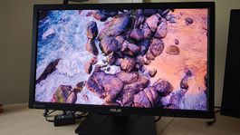 Asus Monitor 27 Zoll PB278Q 2560*1440h