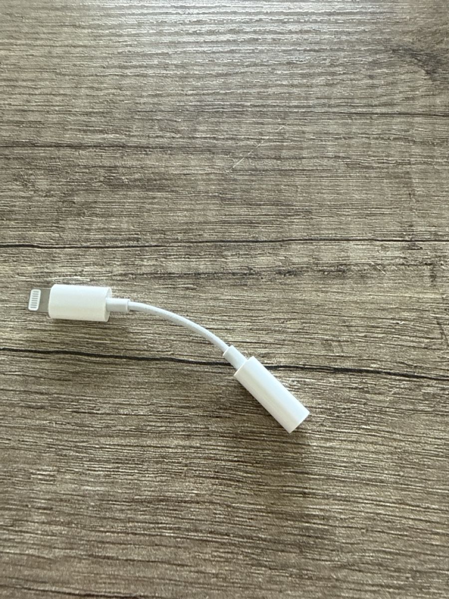 Apple Unità & Adattatore: Adapter IPhone Lightning Anschluss – Usato da Kaisten venduto da korba2