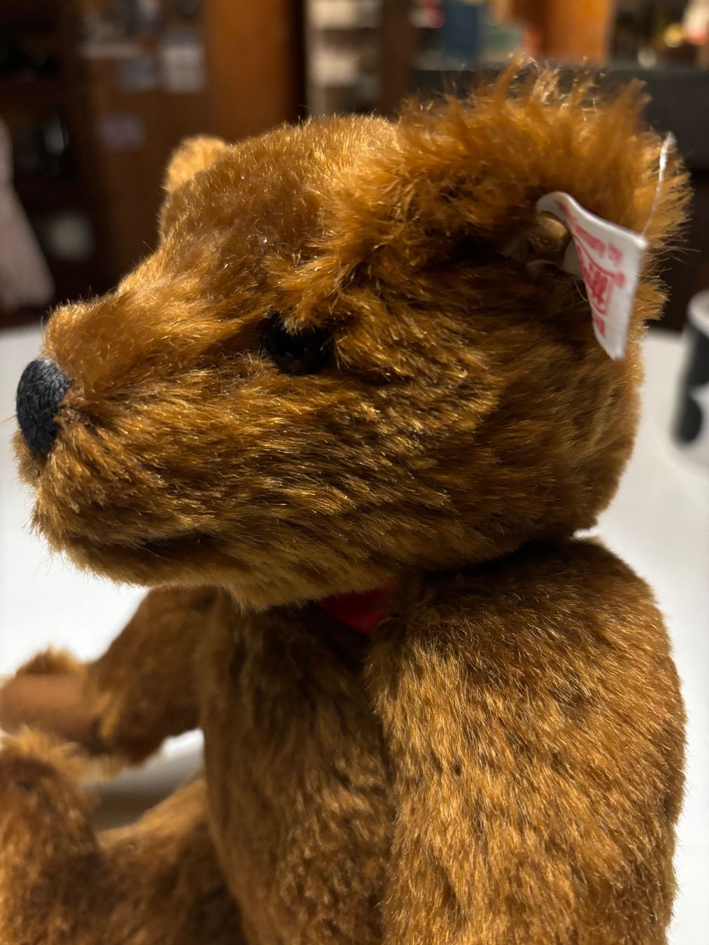 Steiff Giocattoli: Steiff Bär Steiff Club Edition 2003 – Usato da Hinwil venduto da DaniBachman 8