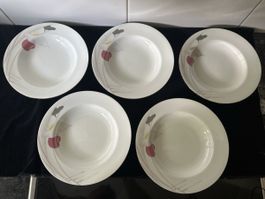 MIKASA CR006 Anthurium Suppenteller 5er Set Bone China