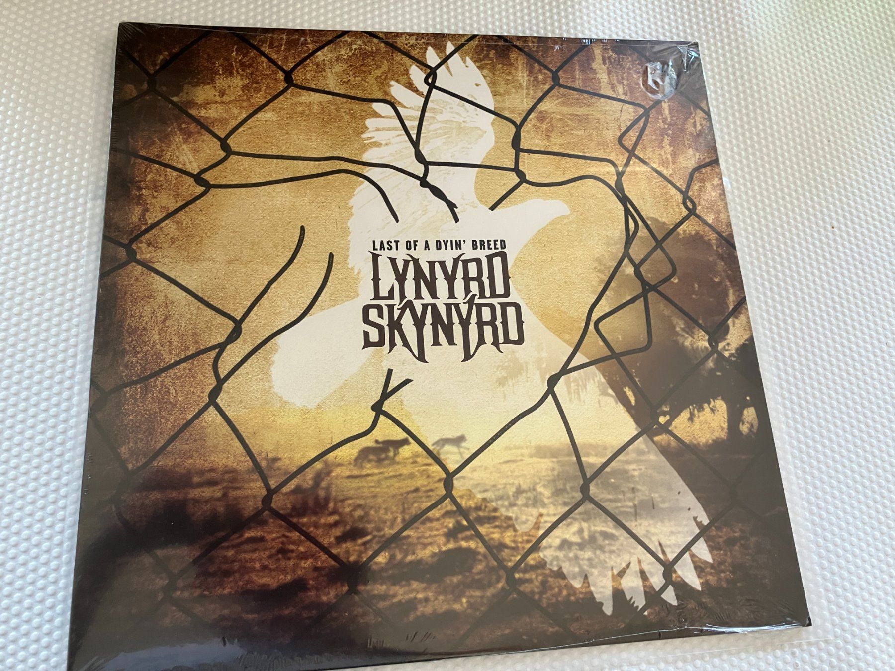 Dischi in vinile: Lynyrd Skynyrd – Nuovo e nell'imballaggio originale da Aarwangen venduto da Jukebox3