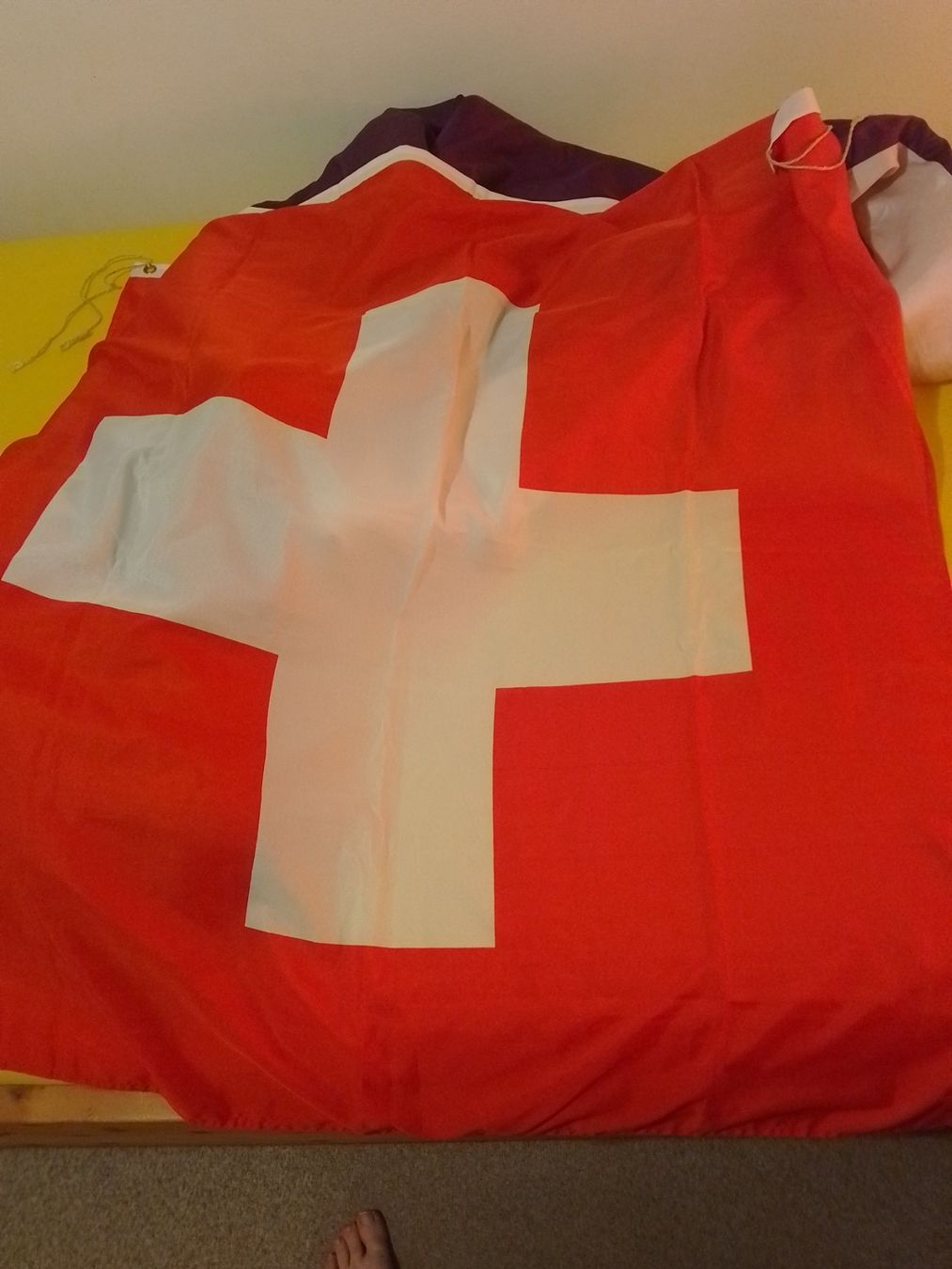 Bandiere: Schweizer Flagge – Usato da Weinfelden venduto da PaterPio1968