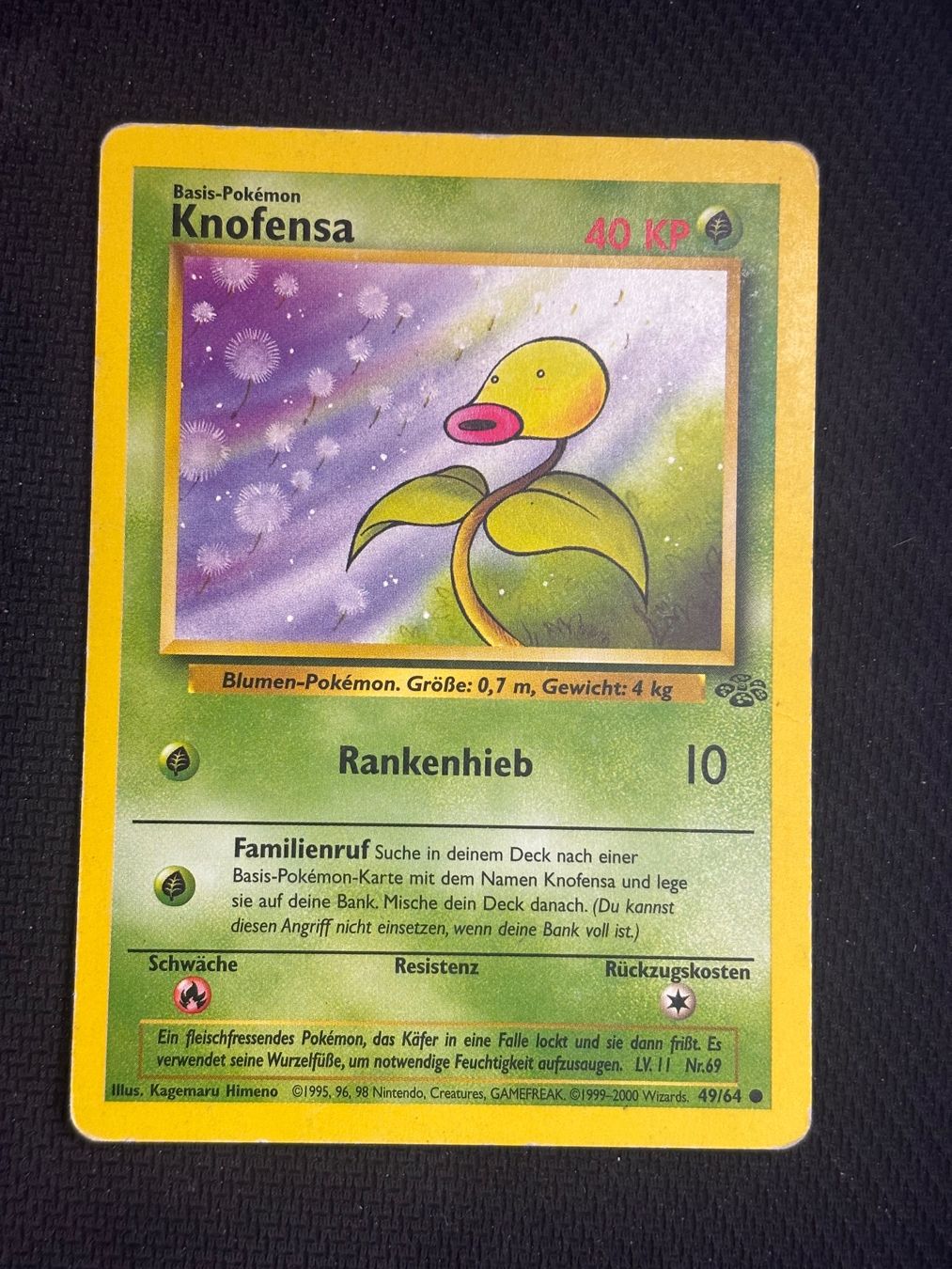 Pokémon Carte collezionabili: Pokemon Knofensa 49/64 WOTC Jungle DE – Usato da St. Gallen venduto da KantoKarten
