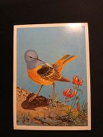Carte postale vintage - Oiseau et fleurs, 1984, Russie