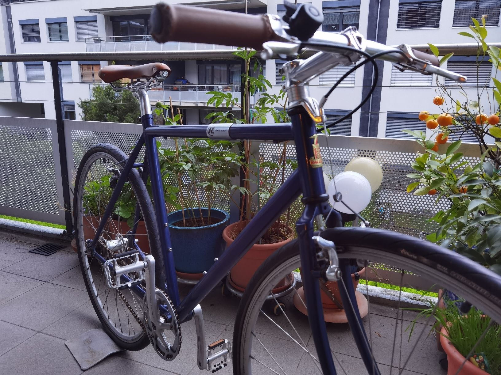 Biciclette: Raleigh One Way Singlespeed / Fixie – Usato da Biel/Bienne venduto da Cranson93