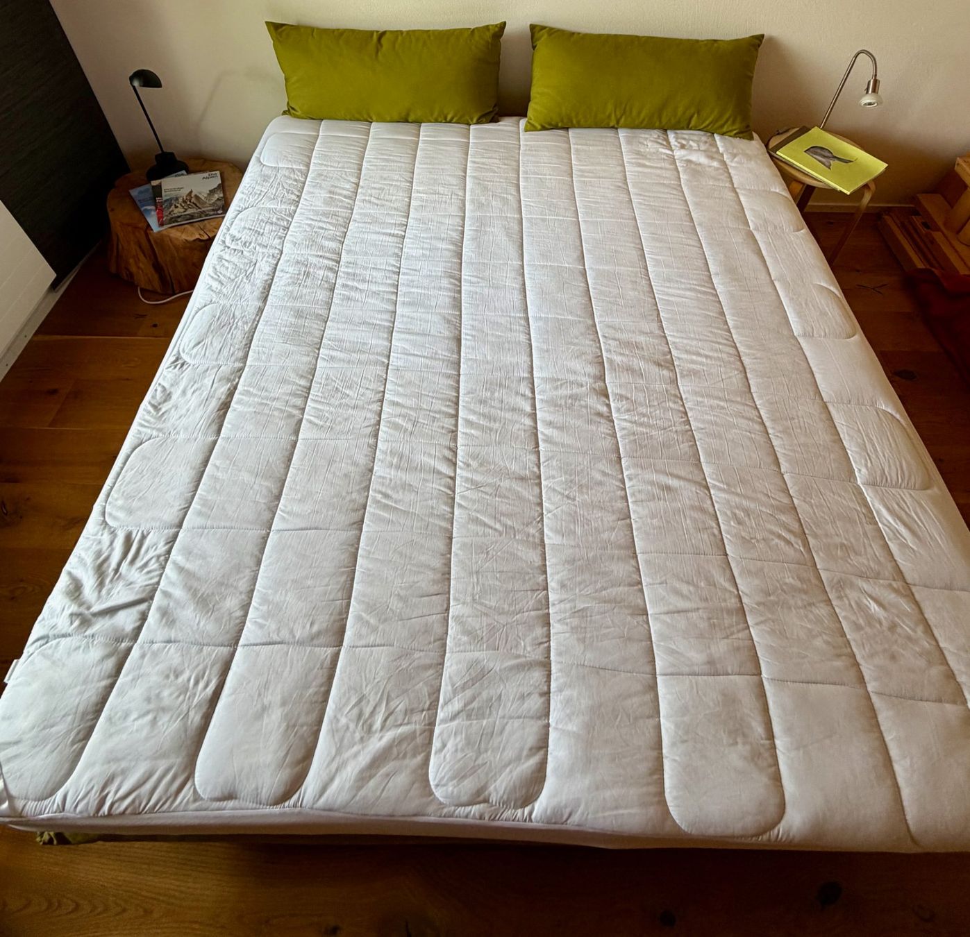 Sofas: Ligne roset Multi Stoff Dreisitzer grün – Gebraucht aus Seewis Dorf von cardioking 3