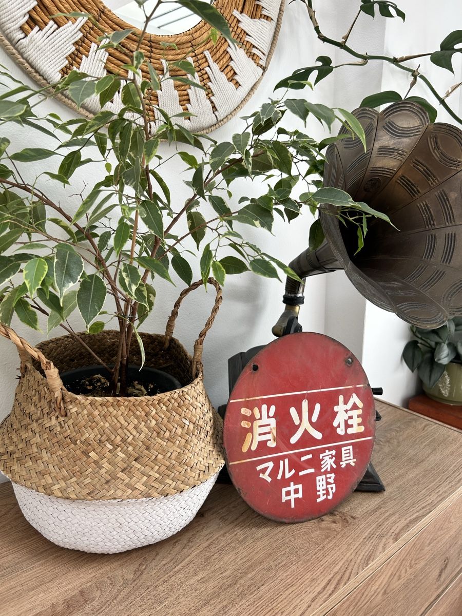 Insegne: Antikes Blechschild original aus Japan – Usato da Basel venduto da Tshabajuju 2