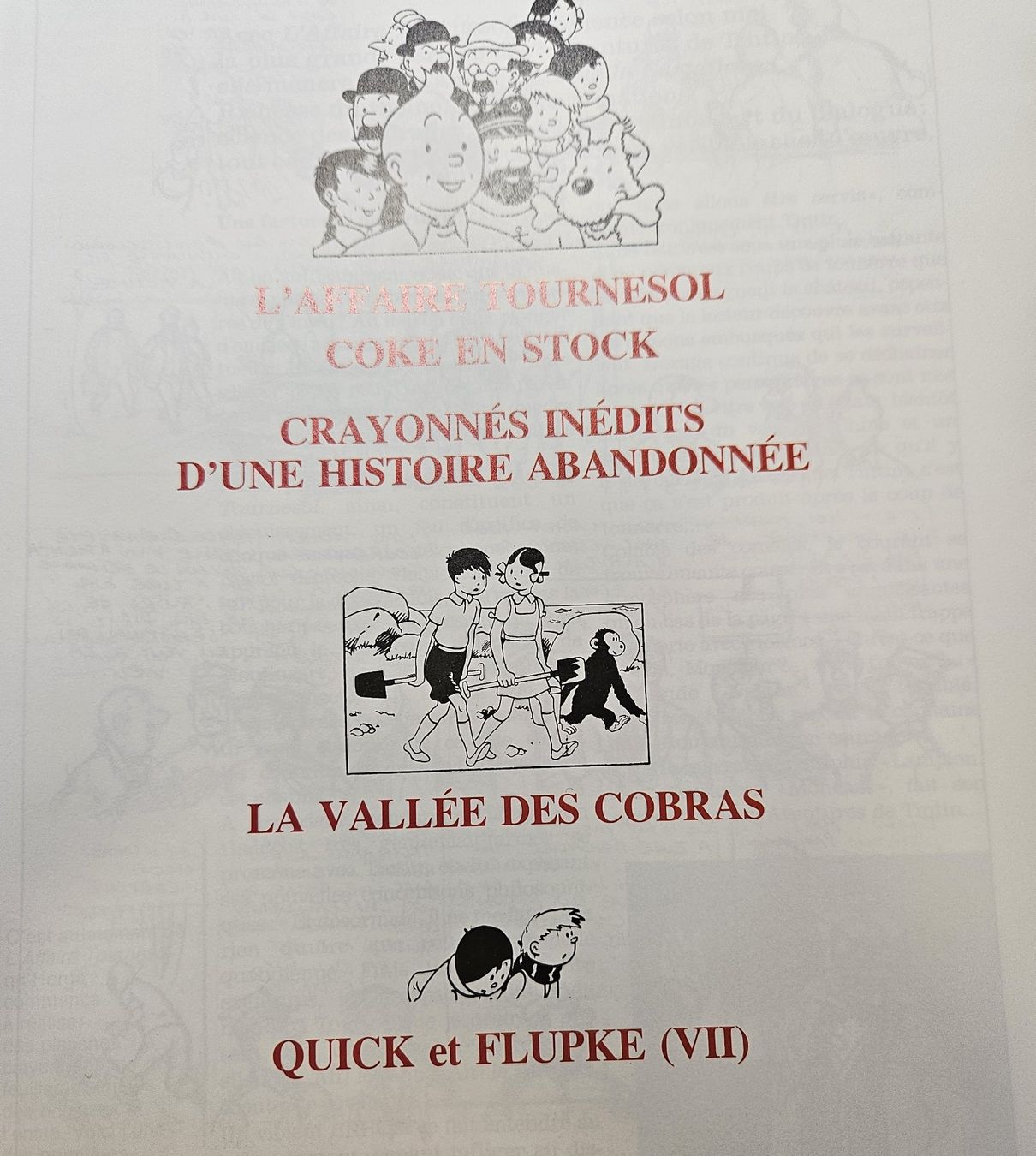 Fumetti: Tintin Volume N 9 Rombaldi- ENVOIE POSSIBLE – Usato da Prévonloup venduto da bitume1975 1