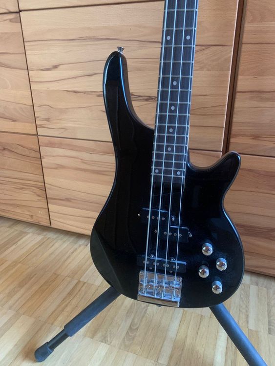 Perfektes EBass Packet für Anfänger Kaufen auf Ricardo