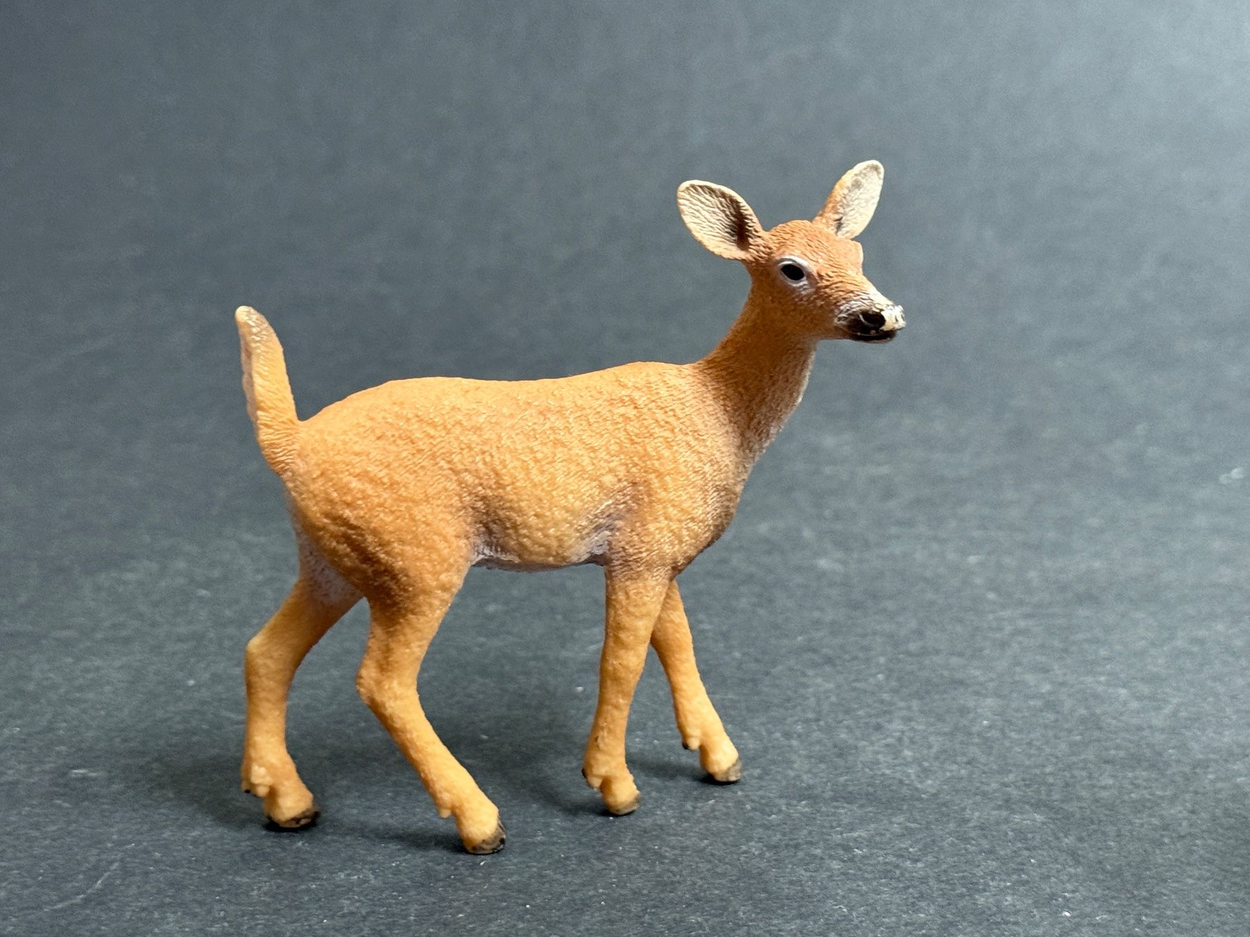 Schleich Statuette: Schleich Weisswedelhirsch Hirsch Kuh – Usato da Ennetbaden venduto da mapa05 2