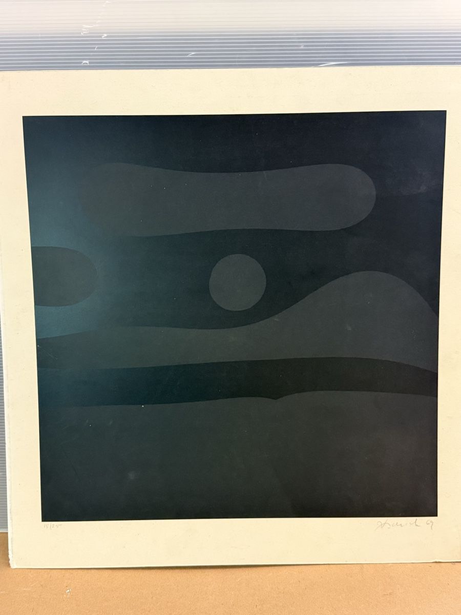 Grafica & Litografie: Farblitographie 61x59cm – Usato da Solothurn venduto da NUVICO 4