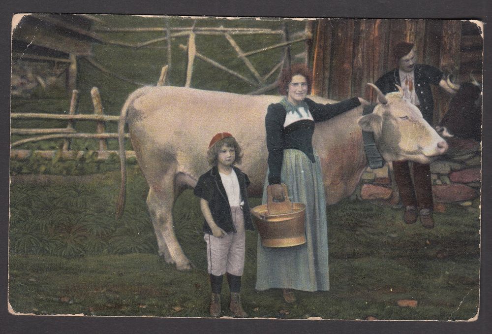 alte-postkarte-familie-mit-kuh-1908-gestempelt-ab-1-gebraucht-in