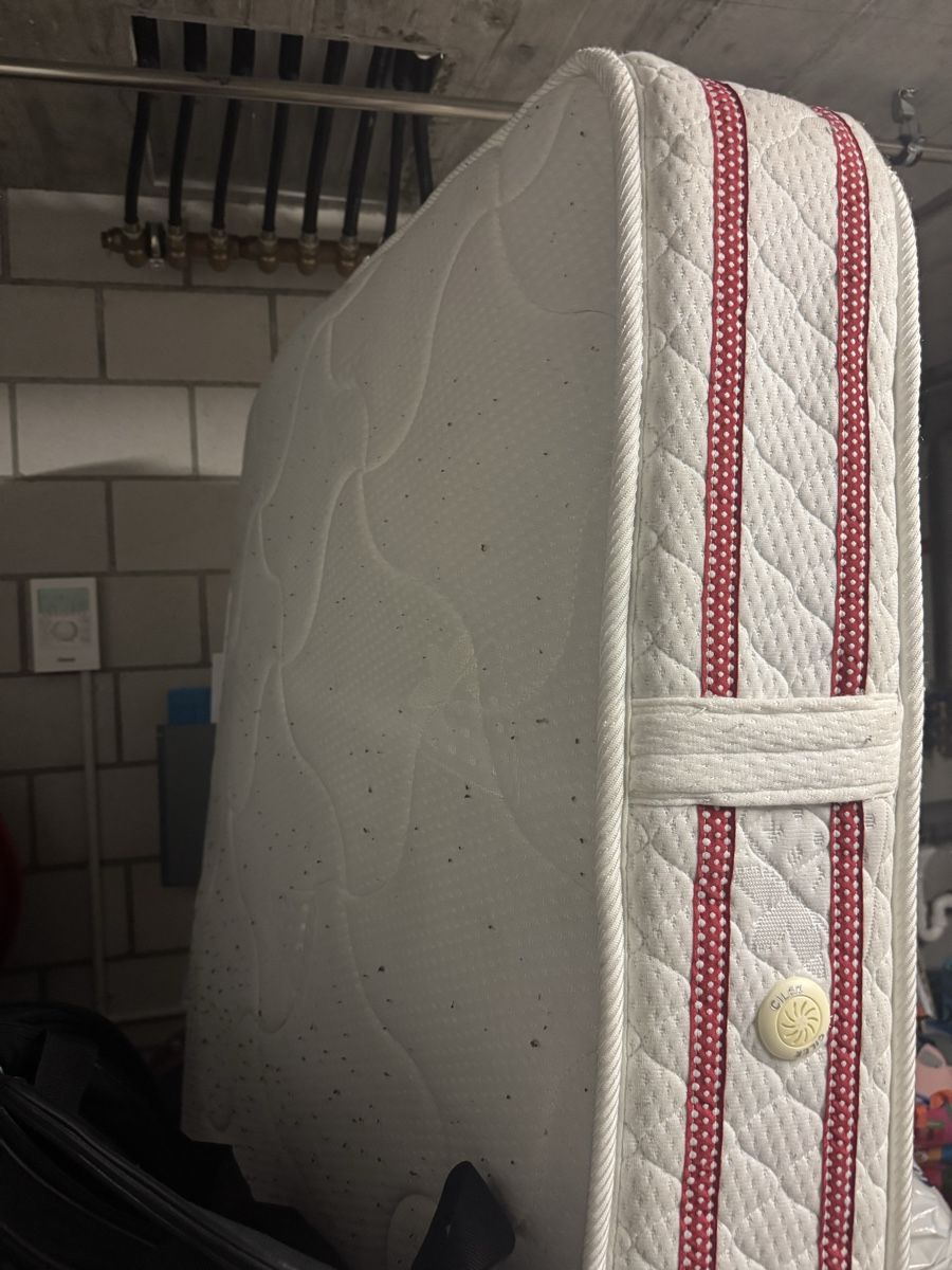 Materassi: Matratze 90x190cm – Usato da Rümlang venduto da Vitorcosta95 1