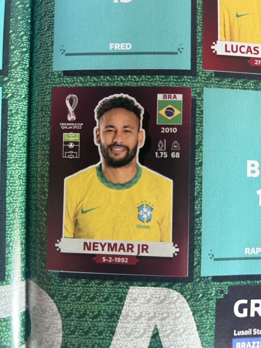Panini Album: WM Qatar 2022 Album – Nuovo (secondo la descrizione) da Biberist venduto da urb_vcc9 6