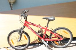 Bicicletta bambino 6 anni