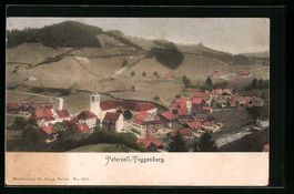 Peterzell /Toggenburg, Ortsansicht aus d