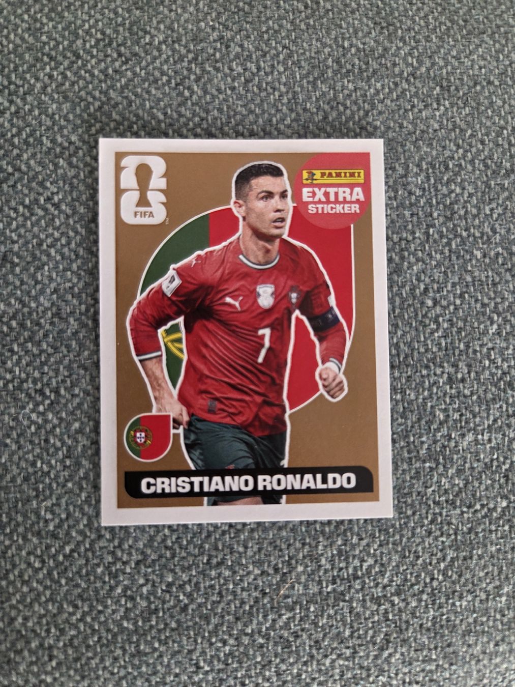 Panini Sammelbilder & Trading cards: extra sticker  – Neu (gemäss Beschreibung) aus La Chaux-de-Fonds von tur_nkx9
