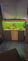 Aquarium Juwel 240l