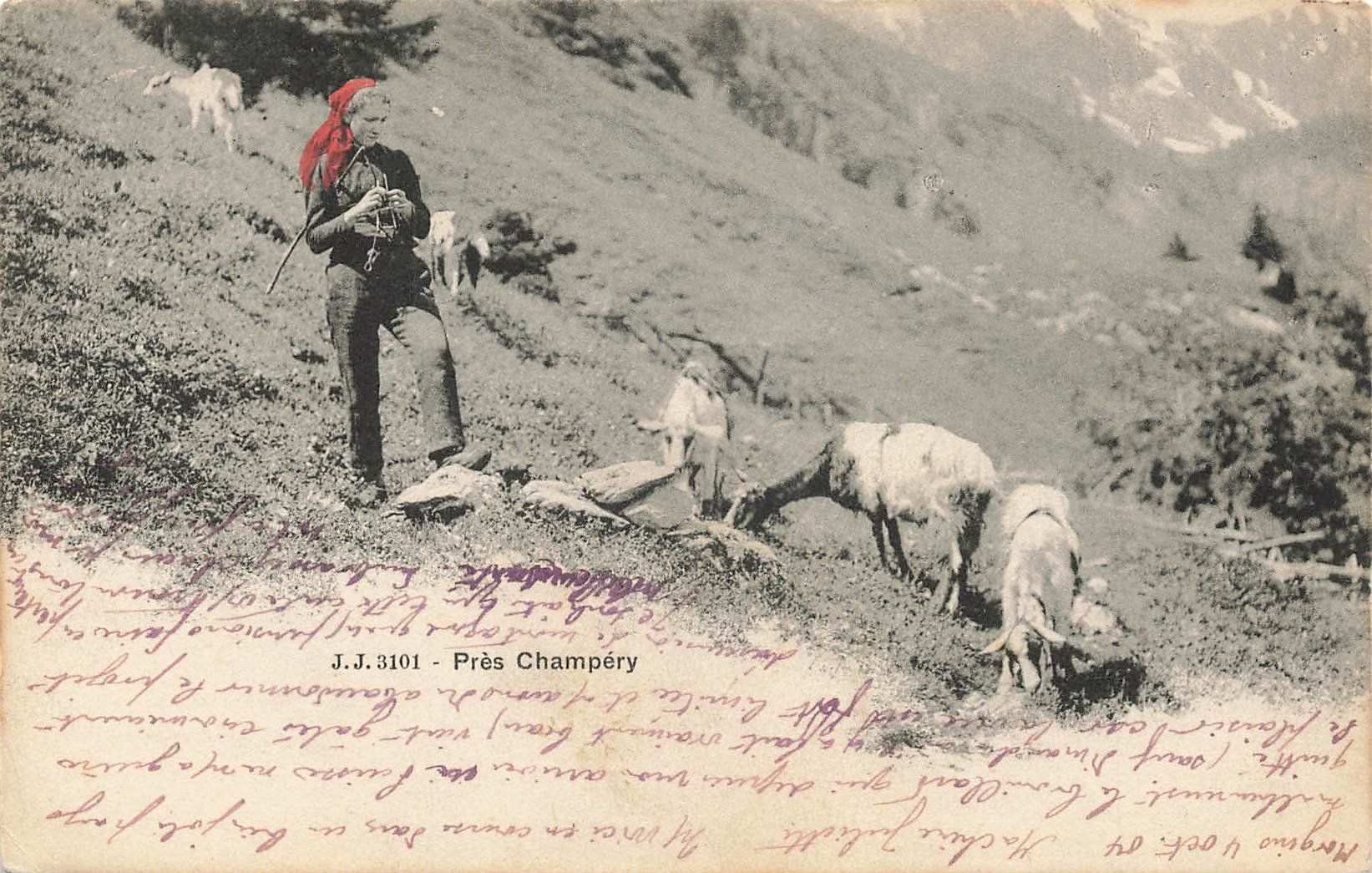 Cartoline postali: Ansichtskarte Près-Champery mit Ziegen und Hirtin – Usato da Schwyz venduto da Seffi56