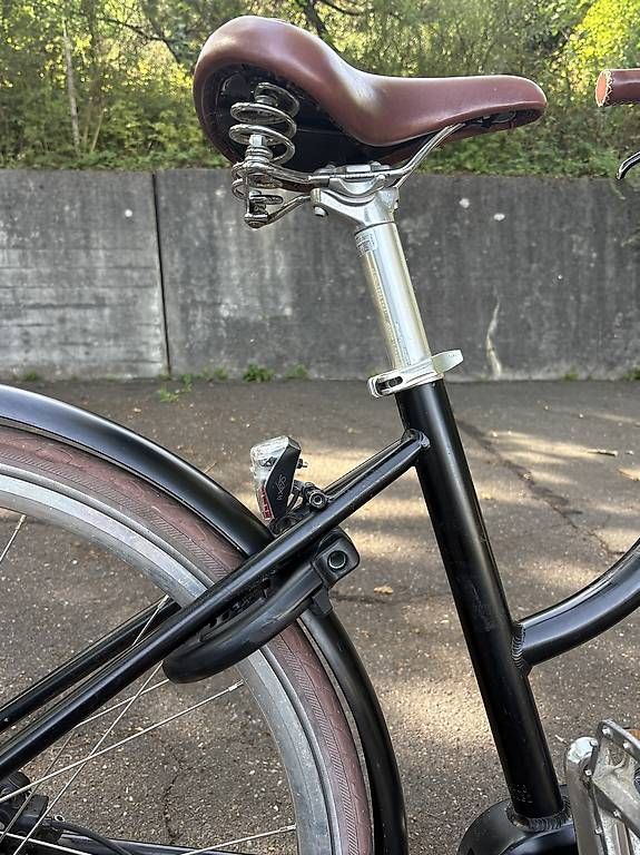 Ego Movement Biciclette: Ego Movement e-Bike Cleopatra 2.0 – Usato da Zürich venduto da alexjane 3