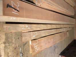 Ulmen Furnier Bund 272
