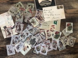 60 Stk. Briefmarken Sticker Scrapbook Wald Tiere Pilze Vögel